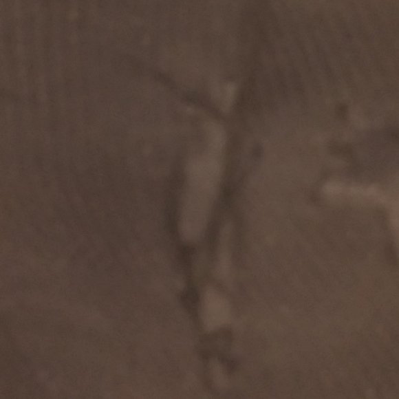 BEBE WOMEN'S 00 ZERO SHORTS WHITE STARS - Picture 4 of 7